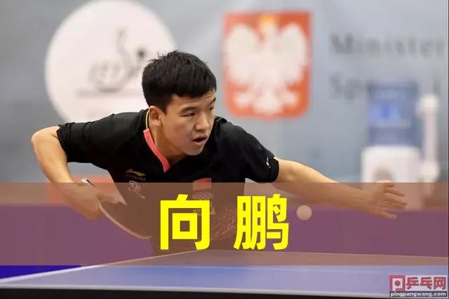 足球中超新援顺利完成注册，或将迎首秀