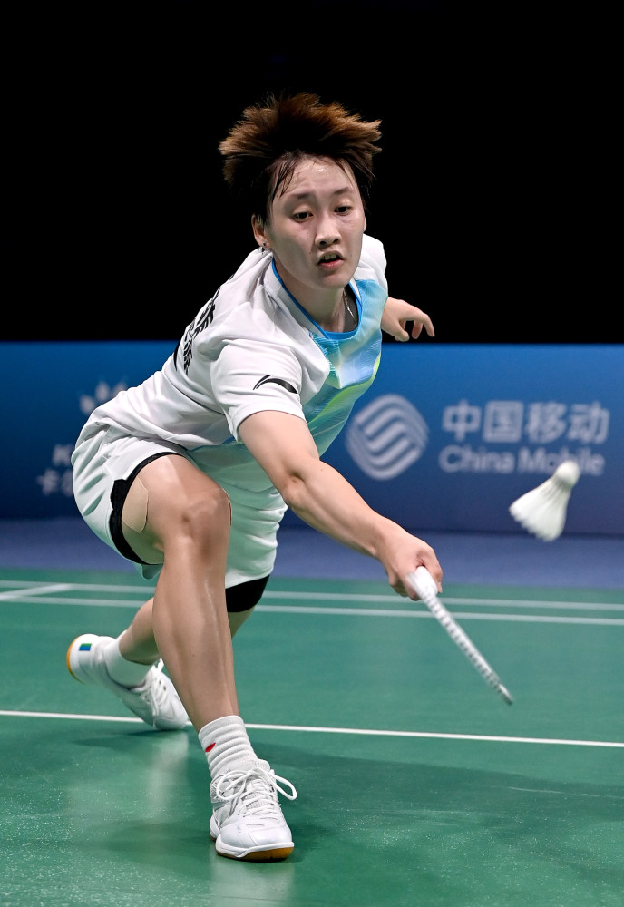 它展示了团 它展示了团